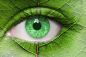 Preview: Wandbild "grünes Auge"